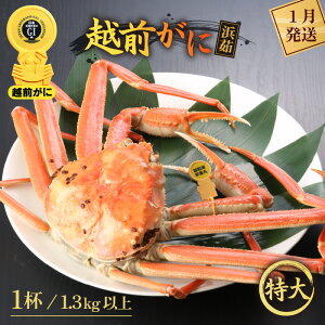 yӂ邳Ɣ[Łzl䥂ŁzO TCYi1.3kgȏj × 1tyY YCKj zOKj p {C ①  Jj I 䌧zy1z]w lɊ]L