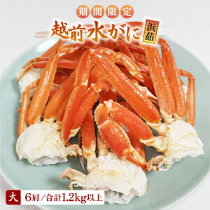 yӂ邳Ɣ[ŁzyԌzl䥂ŁzOY TCY 6î 2400`500gj v1.2kgȏ YnIyY YCKj zOKj ̂ {C ①  Jj I 䌧