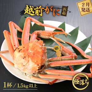 yӂ邳Ɣ[Łzl䥂ŁzO ɗi1.5kgȏj × 1tyY YCKj zOKj p {C ①  Jj I 䌧zy2z]w lɃ[AhX