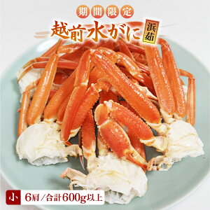 yӂ邳Ɣ[ŁzyԌzl䥂ŁzOYɏTCY 6î2200`300gj v600gȏ Yn 荠yY YCKj zOKj ̂ {C ①  Jj I 