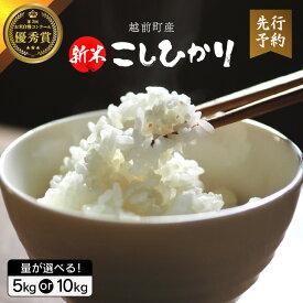 【ふるさと納税】【新米・先行予約】お米 こしひかり 5kg / 10kg（精米）令和8年 福井県産 炊きたての美味しさを追求したお米【米 コメ kome 5キロ 10キロ 精米 白米 人気品種 便利】【2026年10月下旬以降順次発送開始！】