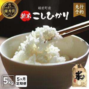 yӂ邳Ɣ[Łzyߘa8NYVāEs\zց5A͂  Ђ 5kg × 5iv 25kgjiāj 䌧Y y R kome 5L 5 v25L   lCi ֗ 