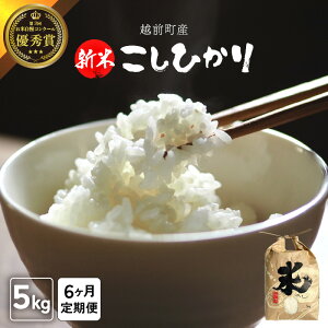 【ふるさと納税】【令和7年産・新米】定期便≪6ヶ月連続お届け≫ お米 こしひかり 5kg×6回(計30kg)(精米) 福井県産 炊きたての美味しさを追求したお米【米 コメ kome 5キロ 6か月 計 30キロ