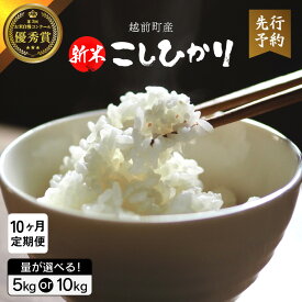 【ふるさと納税】【令和8年産新米・先行予約】定期便≪10ヶ月連続お届け≫ お米 こしひかり 5kg × 10回(計50kg) / 10kg × 10回(計100kg)（精米） 福井県産【米 コメ kome 精米 白米 人気品種 】【2026年10月下旬以降順次発送開始】