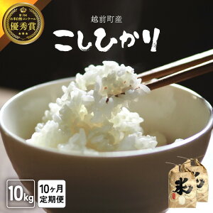 yӂ邳Ɣ[Łzyߘa8NYVāEs\zց10A͂  Ђ 5kg × 10(v50kg) / 10kg × 10(v100kg)iāj 䌧Yy R kome   lCi zy2026