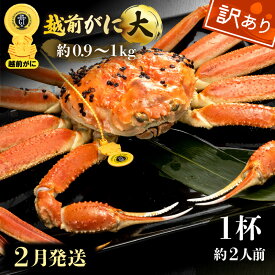 【ふるさと納税】【訳あり】≪浜茹で≫越前がに 大サイズ（生で約0.9〜1kg） × 1杯 約2人前 食べ応えあり！【雄 ズワイガニ 越前ガニ 姿 ボイル 冷蔵 かに カニ 蟹 福井県】【2月発送分】希望日指定可 備考欄に希望日をご記入ください [e49-x001_02]