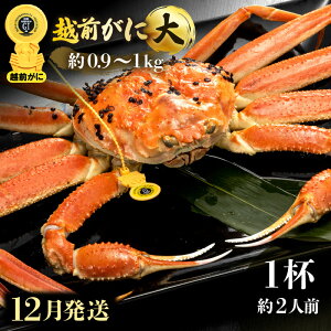 yӂ邳Ɣ[Łzl䥂ŁzO TCYiŖ0.9`1kgj × 1t 2lO H׉IyY YCKj zOKj p {C ①  Jj I 䌧zy12z]w 