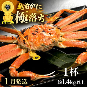 yӂ邳Ɣ[Łzl䥂ŁzO ɗiŖ1.4kgȏj × 1t H׉ |[IyY YCKj zOKj p {C ①  Jj I 䌧zy1z]w l