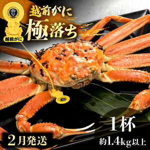 yӂ邳Ɣ[Łzl䥂ŁzO ɗiŖ1.4kgȏj × 1t H׉ |[IyY YCKj zOKj p {C ①  Jj I 䌧zy2z]w l