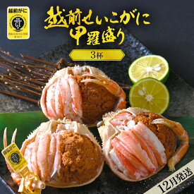 【ふるさと納税】珍しい冷蔵発送！ 越前せいこ蟹 甲羅盛り「身出し」3杯 鮮度にこだわり「産地直送」！【雌 ズワイガニ】【越前がに せいこがに セイコガニ ボイル むき身 かに カニ 蟹 福井県】【12月発送分】 [e49-x004_12]