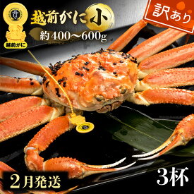 【ふるさと納税】【訳あり】≪浜茹で≫越前がに 小サイズ（生で約400〜600g） × 3杯【雄 ズワイガニ 越前ガニ 姿 ボイル 冷蔵 かに カニ 蟹 福井県】【2月発送分】希望日指定可 備考欄に希望日をご記入ください [e49-x007_02]