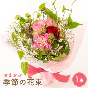 yӂ邳Ɣ[Łz Mtg G߂̃t[AWԑ bZ[WJ[hOKIy䌧  u[P a LO v[gz [e51-a002]