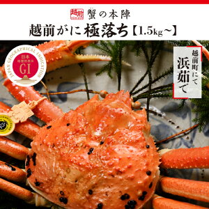 yӂ邳Ɣ[Łz~̓{C̖ 䌧̃uhIuɁvɏ l䥂ŁyzO ɗ 1.5kg`z11`3 [e56-x008]