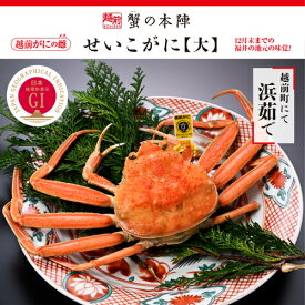 【ふるさと納税】浜茹で【せいこがに 大 250g前後】11〜12月順次発送 [e56-x009]