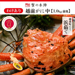 yӂ邳Ɣ[Łzy킯z~̓{C̖ l䥂ŁyzO 1.0kgOz11`3 [e56-x013]