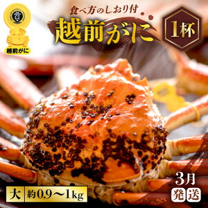 yӂ邳Ɣ[Łzl䥂ŁzO TCYiŖ0.9`1kgj × 1t 2lO H׉\ HוtyY YCKj zOKj p {C ①  Jj I 䌧zy3