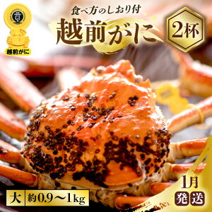yӂ邳Ɣ[Łzl䥂ŁzO TCYiŖ0.9`1kgj × 2t 4lO ̐H׉ HוtyY YCKj zOKj p {C ①  Jj I 䌧zy1