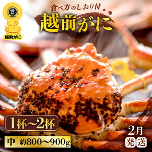 yӂ邳Ɣ[Łzl䥂ŁzO TCY i1t800g`900gjH׉\ Hוt yIׂtI1`2tzyY YCKj {C ① zOKj zO zOJj 