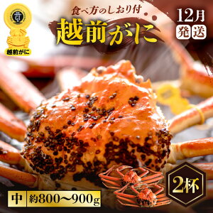 yӂ邳Ɣ[Łzl䥂ŁzO TCY i1t800g`900gjH׉\ Hוt yIׂtI1`2tzyY YCKj {C ① zOKj zO zOJj 