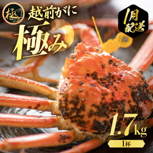 yӂ邳Ɣ[ŁzMdIɂ1t ɂ() l䥂ŁzOɁiŖ1.7kg`jH׉\ Hוty Mtg Y YCKj zOKj p {C ①  Jj I 
