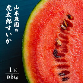 【ふるさと納税】【先行予約】甘味が強い 虎太郎すいか 約5kg 1玉 数量限定 産地直送【果物 フルーツ スイカ】【2024年7月下旬より順次発送】 [e58-a001]