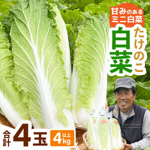 yӂ邳Ɣ[Łzys\zÂ݂̂~j؁Iû؁v4ʁi1 1kgjv4kgȏ y2025N10{菇zyYn  ① ~j  ̖ T_
