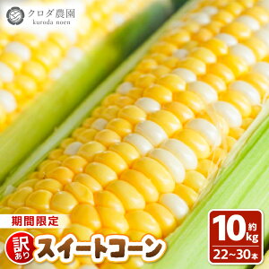 yӂ邳Ɣ[Łzys\zy󂠂z_꒼ NxQ XC[gR[( Ƃ낱 ) 2.5kg / 5kg / 10kgi6{`30{) y2026N7{菇\zyy o[xL[ 