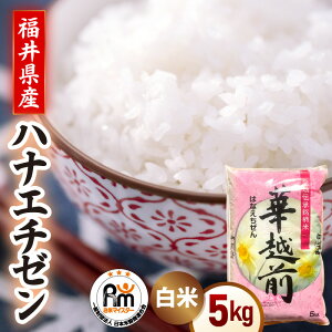 yӂ邳Ɣ[ŁzyVāzߘa7NY  5kg  niG`[ 䌧zOYs14ȓɏoח\ty 5L ؉zO ͂Ȃ  ͂ lCi Ђ i komez