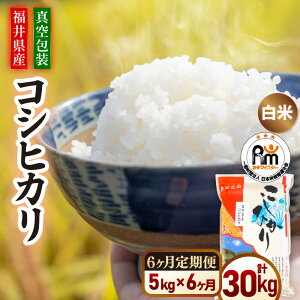 yӂ邳Ɣ[ŁzyVāz^ 6P 5kg×6 ߘa7NY  RVqJ  䌧Y y 5L 30L Ђ ^pbN  lCi Yn V komez