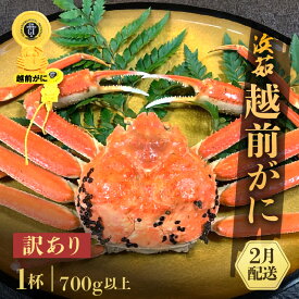 【ふるさと納税】【訳あり】≪浜茹で≫越前がに 1杯（生で700g前後）【雄 ズワイガニ かに カニ 蟹 越前ガニ 姿 ボイル 冷蔵 福井県】【2月発送分】希望日指定可 備考欄に希望日をご記入ください [e68-x006_02]