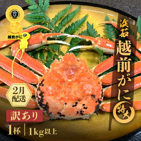 【ふるさと納税】【訳あり】≪浜茹で≫越前がに 特大サイズ 1杯（生で1kg以上）【雄 ズワイガニ かに カニ 蟹 越前ガニ 姿 ボイル 冷蔵 福井県】【2月発送分】希望日指定可 備考欄に希望日をご記入ください [e68-x007_02]