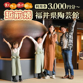 【ふるさと納税】利用券 3,000円分〜 福井県陶芸館『 見て作って！使って親しむ！「越前焼」』【体験 陶芸 越前焼き 陶器 制作 電動ろくろ 手ひねり 絵つけ 茶 抹茶 茶苑 茶碗 カップ 皿 ご飯茶碗 陶芸教室 資料館 バーベキュー BBQ】