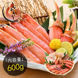 【ふるさと納税】【選べる発送月】 カット 済み 生ずわい蟹 【選べる内容量】約600g〜約1.8kg 【お手軽 生食可 蟹 ズワイ カニ ずわい かに 冷凍】aj