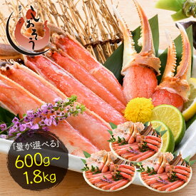 【ふるさと納税】【選べる発送月】 カット 済み 生ずわい蟹 【選べる内容量】約600g〜約1.8kg 【お手軽 生食可 蟹 ズワイ カニ ずわい かに 冷凍】aj