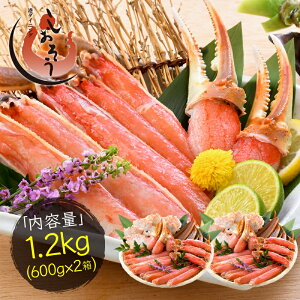 yӂ邳Ɣ[Łz Jbg ς 킢I 1.2kg (600g×2) yy H I YC Jj 킢  Ⓚz
