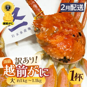 yӂ邳Ɣ[Łzy󂠂zl䥂ŁzO TCYiŖ1kg`1.1kgj × 1t zOÏ ^Otł͂y܂ Y YCKj zOKj p {C ①  Jj I 䌧zy2