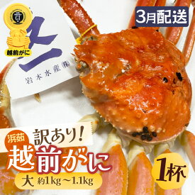 【ふるさと納税】【訳あり】≪浜茹で≫越前がに 大サイズ（生で約1kg～1.1kg） × 1杯 越前蟹の印 タグ付きでお届け【足折れ 雄 ズワイガニ 越前ガニ 姿 ボイル 冷蔵 かに カニ 蟹 福井県】【3月発送分】希望日指定可 備考欄に希望日をご記入ください [e72-x004_03]