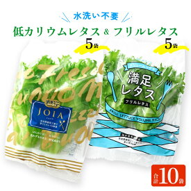 【ふるさと納税】【福井県美浜町産】低カリウムレタス&フリルレタス10個セット【野菜 生野菜 レタス サラダ サンドイッチ お弁当 水耕栽培 洗わず食べられる 時短 付け合わせ ダイエット ヘルシー】 [m40-a005]