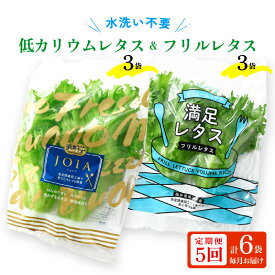 【ふるさと納税】定期便 ≪5ヶ月連続お届け≫ 低カリウムレタス&フリルレタス6個セット 全5回 【福井県美浜町産】【野菜 生野菜 定期便 旬の BOX レタス サラダ サンドイッチ お弁当 水耕栽培 洗わず食べられる 時短 付け合わせ ダイエット ヘルシー 新鮮】 [m40-b002]