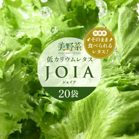 【ふるさと納税】低カリウムレタス 美野菜 「JOIA」20袋 クリーンルーム栽培 鮮度長持ち 【野菜 生野菜 レタス サラダ お弁当 水耕栽培 大容量 洗わず食べられる 時短 付け合わせ】 [m40-b003]