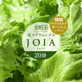 【ふるさと納税】低カリウムレタス 美野菜 「JOIA」20袋 クリーンルーム栽培 無農薬 鮮度長持ち 【野菜 生野菜 レタス サラダ お弁当 水耕栽培 大容量 洗わず食べられる 時短 付け合わせ】 [m40-b003]