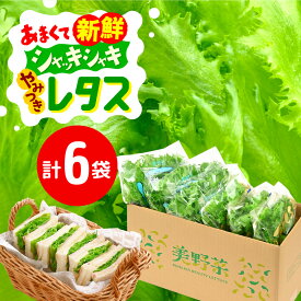 【ふるさと納税】レタス6袋【農薬不使用】新鮮シャッキシャキレタス 低カリウムレタス&フリルレタス6個セット【野菜 生野菜 レタス サラダ サンドイッチ お弁当 水耕栽培 洗わず食べられる 時短 付け合わせ ダイエット ヘルシー】お買い物マラソン [m40-a004]