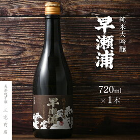 【ふるさと納税】【早瀬浦】純米大吟醸 720ml × 1本【入手困難 日本酒 地酒 福井 美浜 早瀬 フルーティ 男酒 硬水 ミネラル 希少 ご褒美 家飲み 就職祝い 転職祝い ハレの日 父の日 ギフト プレゼント お中元 お歳暮】 [m16-b015]