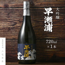 【ふるさと納税】【早瀬浦】大吟醸 720ml × 1本【入手困難 山田錦 上級酒 日本酒 地酒 福井 美浜 早瀬 フルーティ 男酒 硬水 ミネラル 希少 ご褒美 家飲み 就職祝い 転職祝い ハレの日 父の日 ギフト プレゼント お中元 お歳暮 ギフト】[m16-a023]