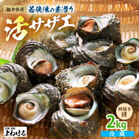 【ふるさと納税】若狭湾の素潜り 天然 活サザエ 2kg (説明書付き)【海鮮 バーベキュー BBQ サザエ さざえ 貝 天然 海産物 刺身 お造り 海の幸 BBQ つぼ焼き 壺焼き 佃煮 海鮮 魚介】お買い物マラソン 買い回り [m17-a048]