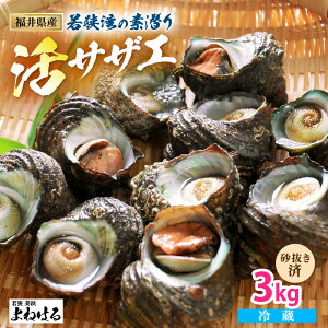 yӂ邳Ɣ[Łzዷp̑f VR TUG 3kg tyTUG  L VR CY hg  C̍K BBQ ڏĂ Ă ώ ށz}\ [m17-a049]