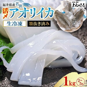 yӂ邳Ɣ[Łzys\zD]In Y ዷp VR AICJ̐Ⓚ 1kg y2025N11{ȍ~\z n CN ^pbN hg VՂ ϕt Ă zC