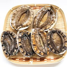 【ふるさと納税】≪おまかせ≫ 日本海若狭湾の 天然 活アワビ 計600g 鮮度抜群 刺身 お造り バター焼き BBQ あわび 鮑【2024年8月31日まで発送】 [m17-d006]