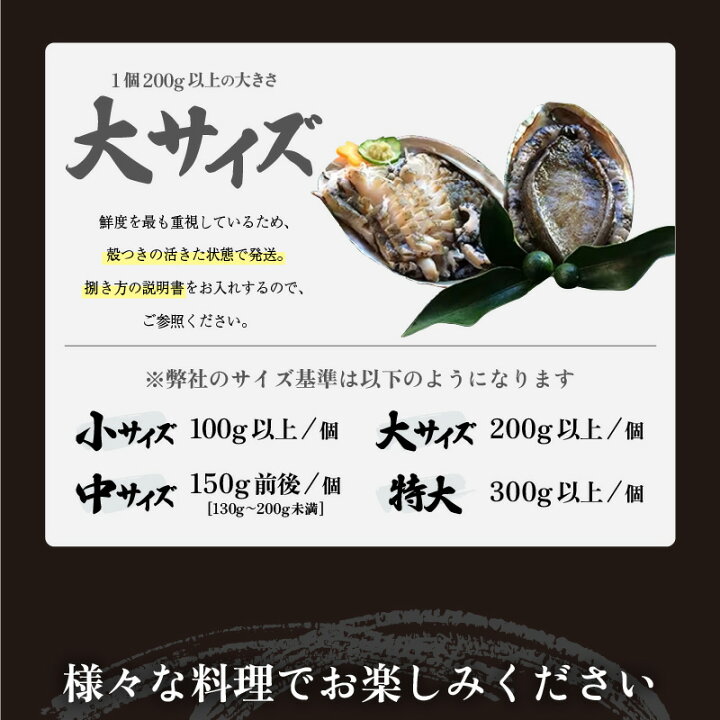 【ベジタリアン】ふるさと納税 美浜町 【金曜日発送】若狭湾の天然活黒アワビ400g