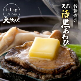 【ふるさと納税】天然 活黒アワビ 計1kg (3～5個) 大サイズ 日本海若狭湾 鮮度抜群 刺身 お造り バター焼き BBQ あわび アワビ 鮑 クロアワビ 黒あわび【2024年8月31日まで発送】 [m17-j002]